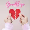 ShinobiRules - Goodbye - Single